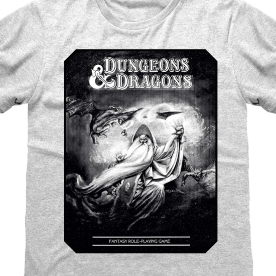Dungeons & Dragons T-Shirt Paladin