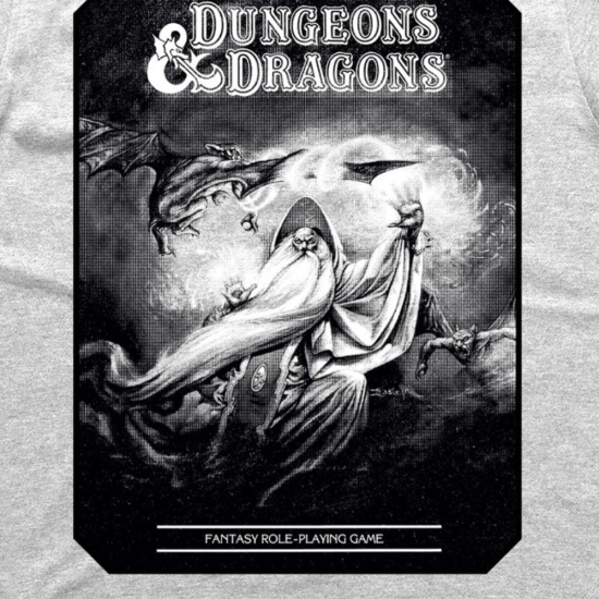 Dungeons & Dragons T-Shirt Paladin